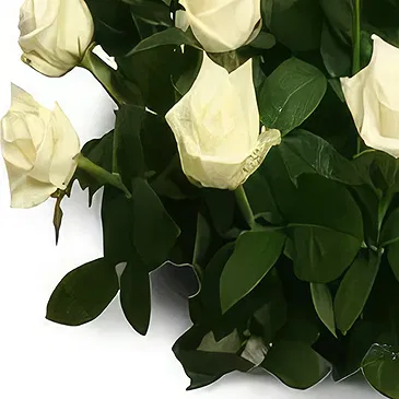 Olympia flowers  -  Antique Roses Flower Bouquet/Arrangement