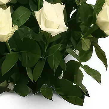 Olympia flowers  -  Antique Roses Flower Bouquet/Arrangement