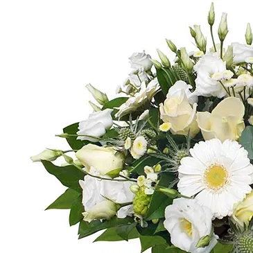 Italy flowers  -  Bouquet of white flowers for wedding Flower Bouquet/Arrangement