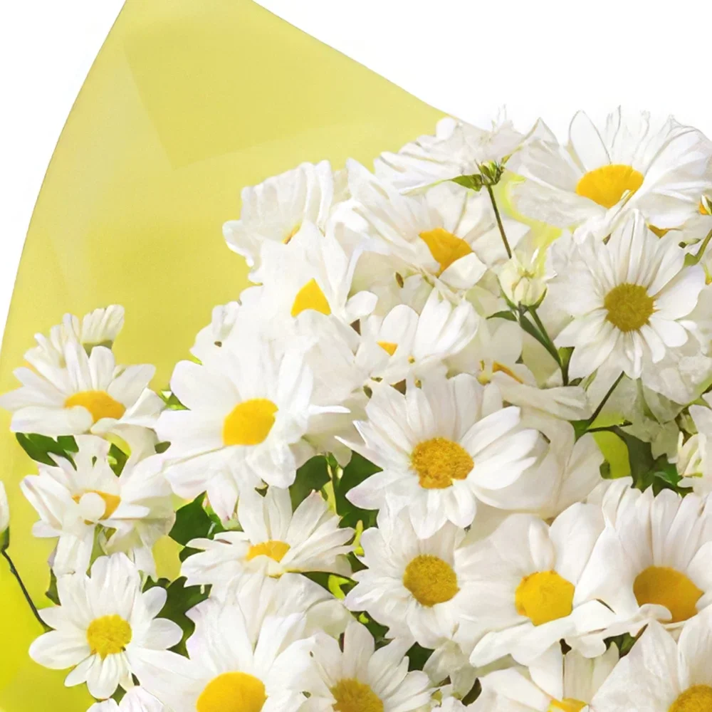 Belém blomster- Vase af tusindfryd til gave og chokolade Blomst buket/Arrangement