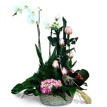 flores de Zaragoza- Purificador Flor Entrega