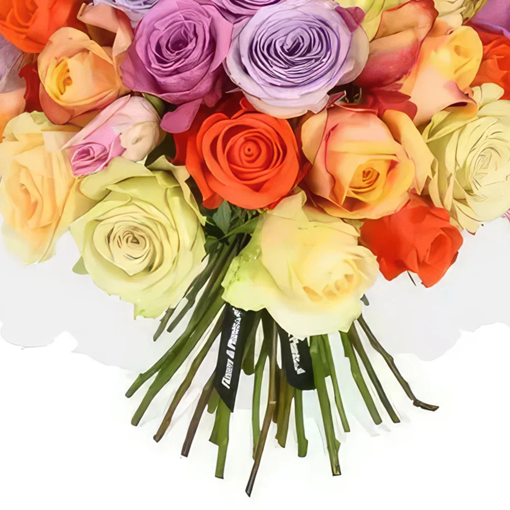 לידס פרחים- חלום חורף זר פרחים/סידור פרחים
