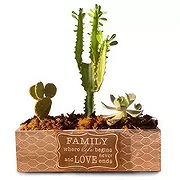 Adma online Florist - Arrangement 5 Bouquet