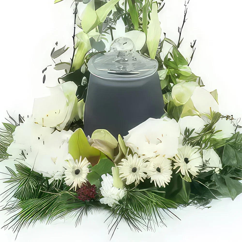 بائع زهور مونبلييه- إكليل من الزهور البيضاء لجرة جنازة ديلوس باقة الزهور