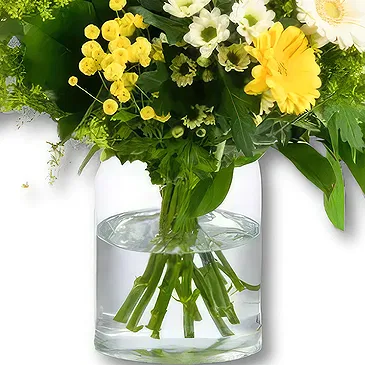 Holland flowers  -  Bouquet Good Wishes Flower Bouquet/Arrangement