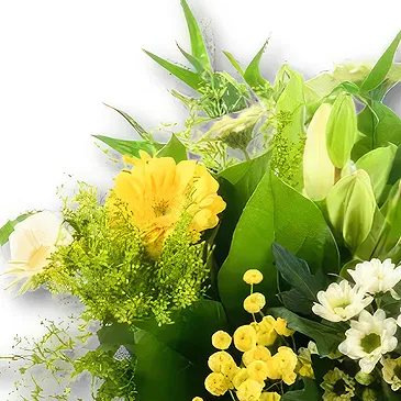 Holland flowers  -  Bouquet Good Wishes Flower Bouquet/Arrangement