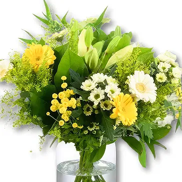 Holland flowers  -  Bouquet Good Wishes Flower Bouquet/Arrangement