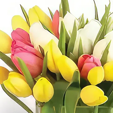 Bani Yas City flowers  -  Yellow Bouquet Flower Bouquet/Arrangement