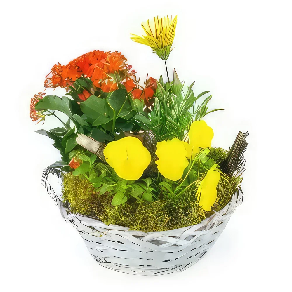 Tarbes цветя- Жълта и оранжева чаша за растение иглика Букет/договореност цвете
