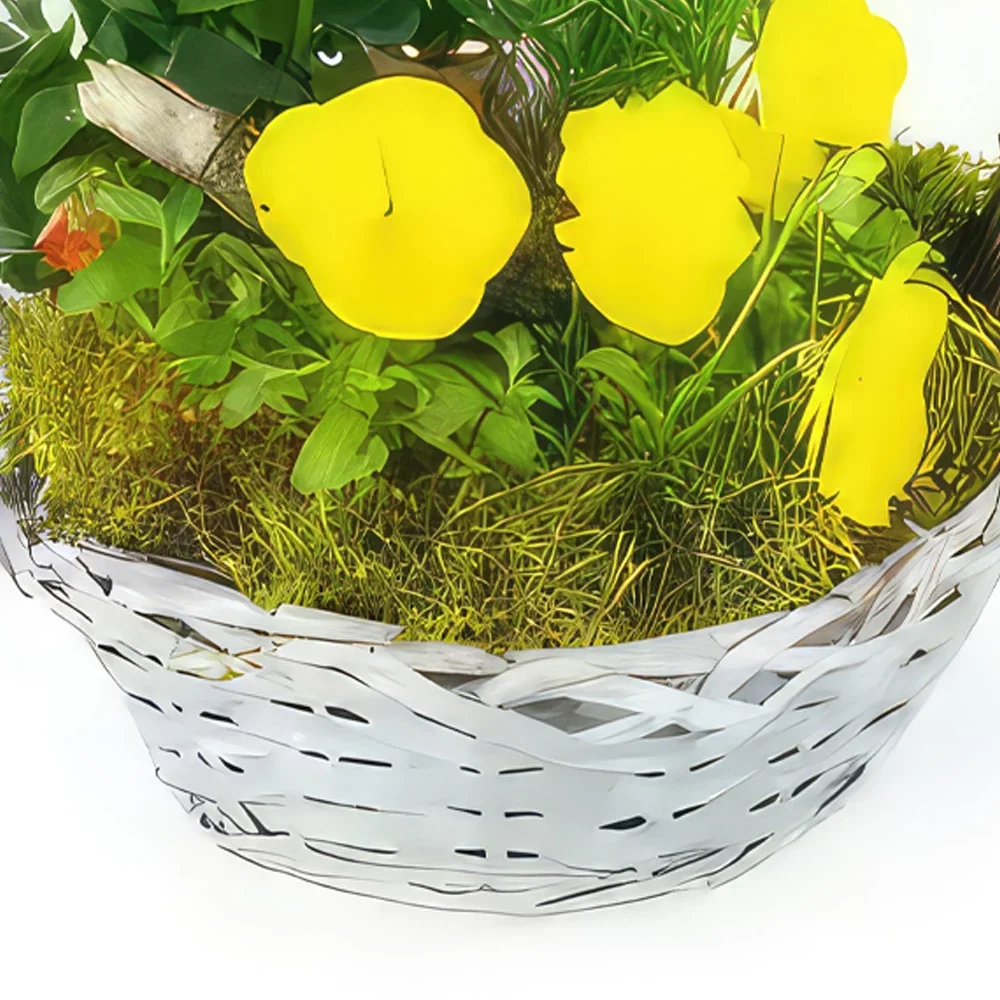 fleuriste fleurs de Toulouse- Coupe de plantes jaunes & orange Primula Bouquet/Arrangement floral