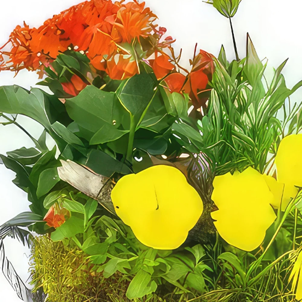 Нант цветя- Жълта и оранжева чаша за растение иглика Букет/договореност цвете
