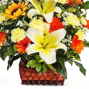 Verona blomster- Kurv med blomster til begravelse Blomst buket/Arrangement