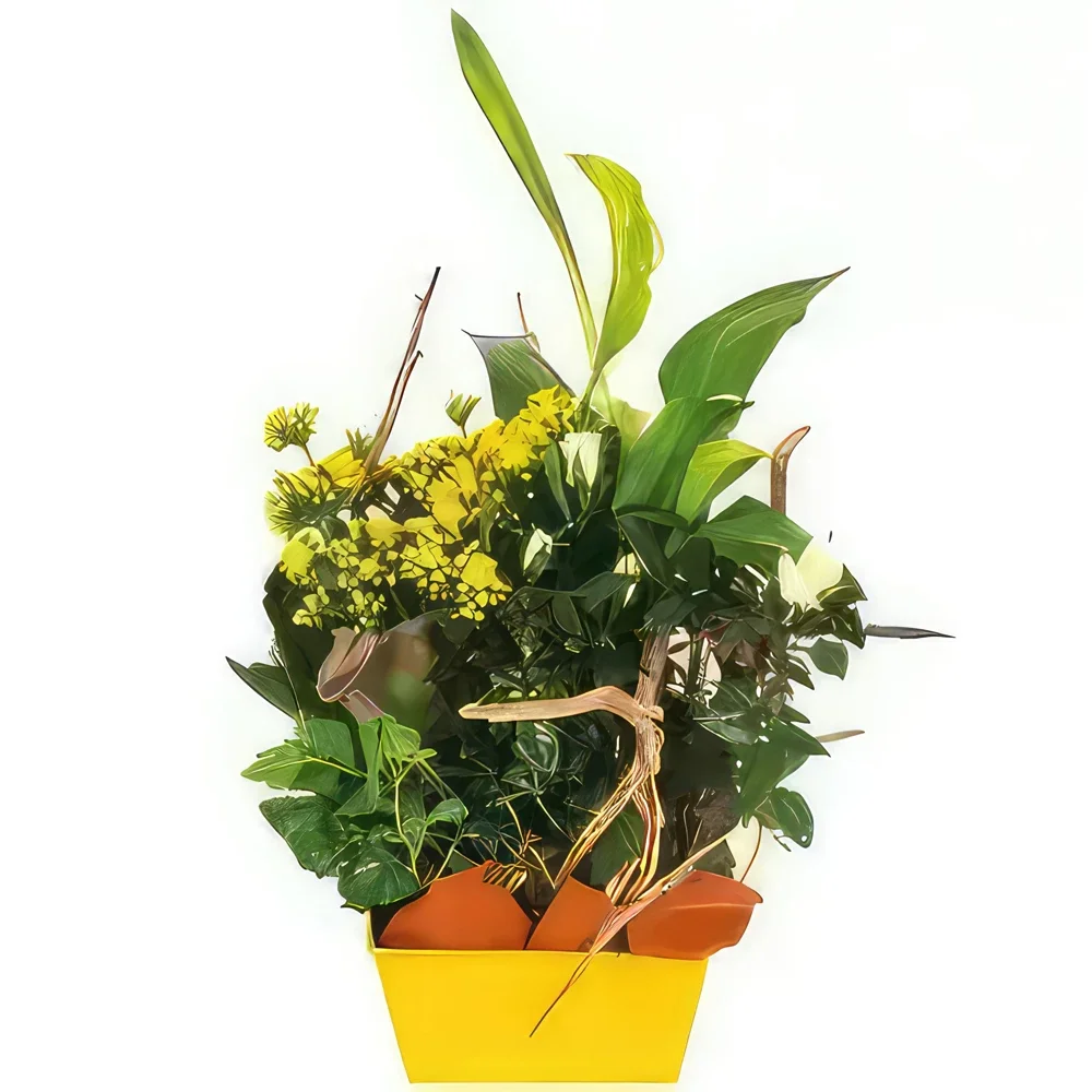 بائع زهور نانت- كثافة تكوين الحداد الأصفر والأبيض باقة الزهور