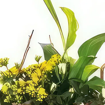 Seignalens flowers  -  Yellow & white mourning composition Intensity Flower Bouquet/Arrangement