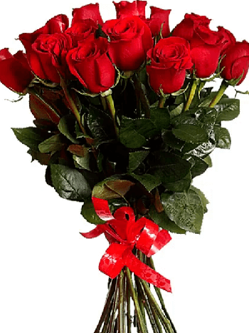 Saloniki kwiaty- 18 Czerwonych Róż 