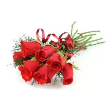ボルネオ 花- 8 赤いバラ 花 配信