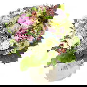 Royal Tunbridge Wells Floristeria online - Ramo de jardín de mariposas Ramo de flores
