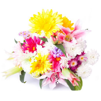 Cayman Islands flowers  -  Vibrant Love Flower Delivery