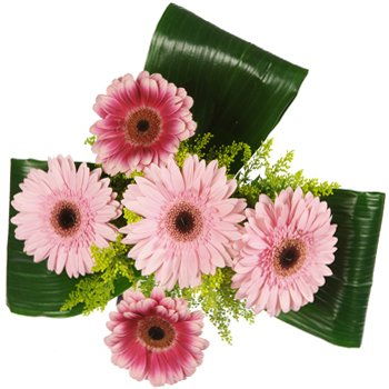 Calgary flowers  -  Darling Daisies Bouquet