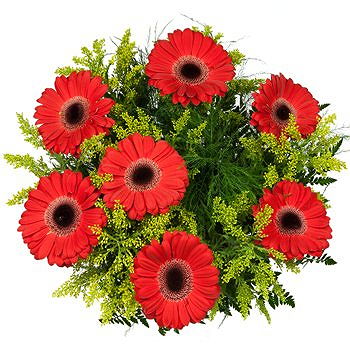 Caicara de Maturin flowers  -  Splash of Spring Bouquet Flower Delivery