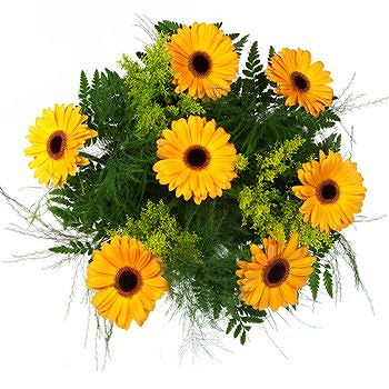 Caicara de Maturin flowers  -  Darling Daises in Yellow Bouquet Flower Delivery