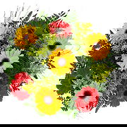 Jamundí Fleuriste en ligne - Bouquet Délice de Marguerites Bouquet