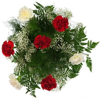 Cayman Islands flowers  -  Cloud of Carnations Bouquet Flower Delivery