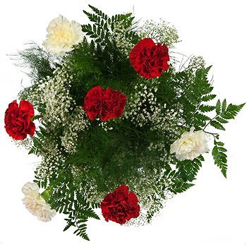 Caicara de Maturin flowers  -  Cloud of Carnations Bouquet Flower Delivery