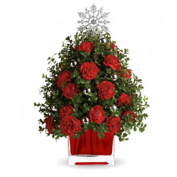 Jamaica, United States flowers  -  Amazing Holiday Carnations Baskets Delivery