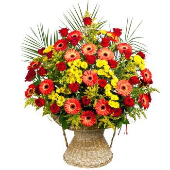 Yehud-Monosson, Israel Online Florist - Brinner Bukett