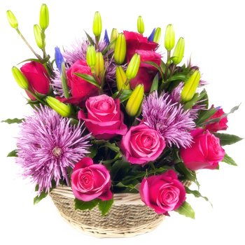 Yehud-Monosson, Israel Online Florist - Rodnande Bukett