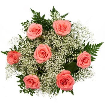 Paraguay flowers  -  Perfect Pink Roses Flower Delivery
