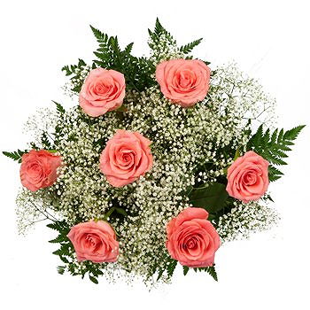 Caicara de Maturin flowers  -  Perfect Pink Roses Flower Delivery
