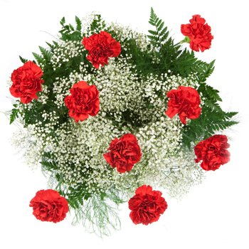 Paraguay flowers  -  Perfect Red Carnations Flower Delivery