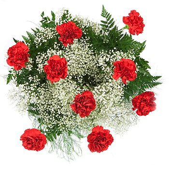 Caicara de Maturin flowers  -  Perfect Red Carnations Flower Delivery