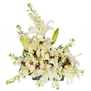 Είδος σκωτσέζικου τερριέ  - Heavenly Embrace Floral Centerpiece 