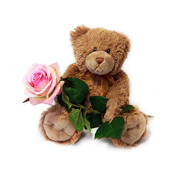 Norway flowers  -  Cuddly Romance Flower Delivery