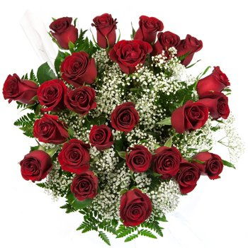 Paraguay flowers  -  Classic Long-Stem Roses Flower Delivery