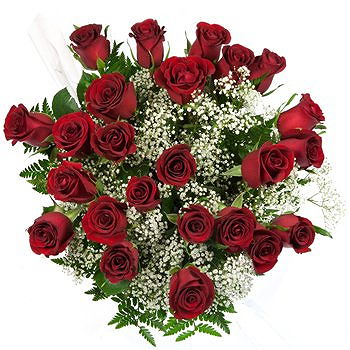 Caicara de Maturin flowers  -  Classic Long-Stem Roses Flower Delivery