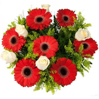 Botswana flowers  -  Dance of the Roses and Daisies Bouquet Flower Delivery