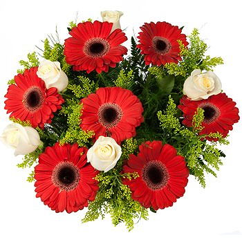 Caicara de Maturin flowers  -  Dance of the Roses and Daisies Bouquet Flower Delivery
