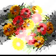 デリー オンライン花屋 - 陽光と春の花束 花束
