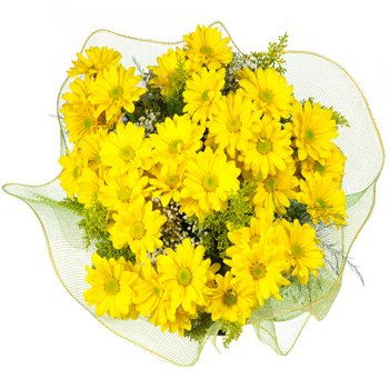 Brunei flowers  -  Springtime Sun Bouquet Flower Delivery