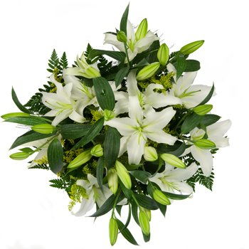 Greenland flowers  -  Lilies and Delight Flower Delivery