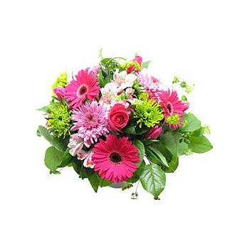 Turkmenistan flowers  -  Anytime Spring Flower Delivery