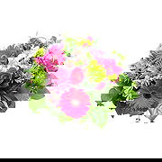 Purcari online Florist - Anytime Spring Bouquet