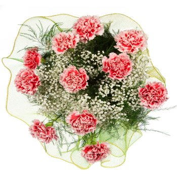 Tanzania flowers  -  Carnival of Carnations Bouquet Flower Delivery