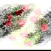 Chiwezi ดอกไม้ออนไลน์ - คาร์เนชั่นช่อดอกไม้คาร์เนชั่น ช่อ