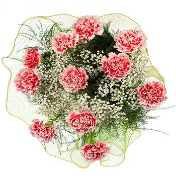 Caicara de Maturin flowers  -  Carnival of Carnations Bouquet Flower Delivery