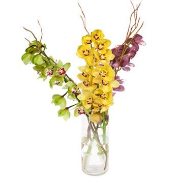 Tanzania flowers  -  Towering Orchids Display Flower Delivery